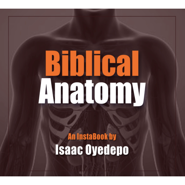 Biblical Anatomy